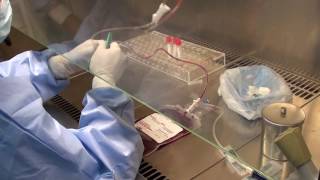 00281 Great Wall Interpretation