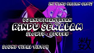 Download lagu DJ RINDU SEMALAM MENGKANE (Slowed   Reverb) mp3