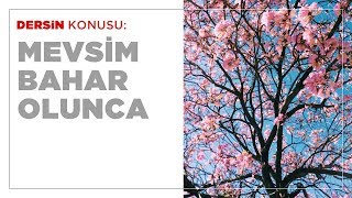 Mevsim Bahar Olunca - 1