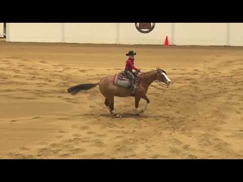 181006 Short Stirrup Becca Schaffauser on Dunitwithasmokingun