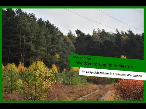 RWH on Stage 🎙 [08] - Waldzerstörung im Heidekreis