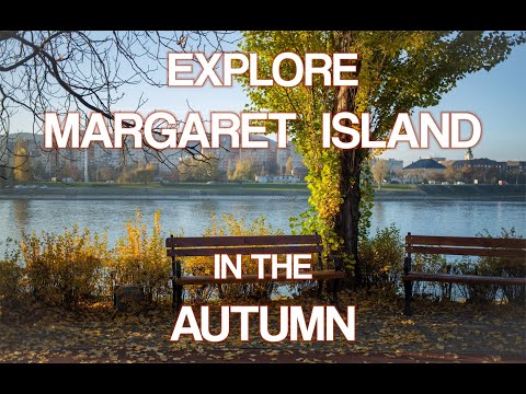 Explore Budapest's Margaret Island in autumn