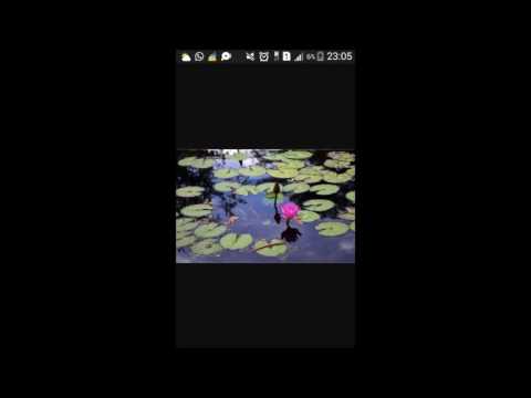 Denger & N-one | Camuflados