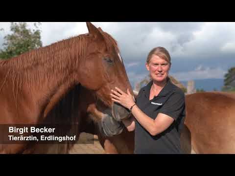 Erfahrungen mit guten Bakterien von MikroVeda