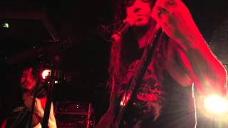 Vektor: Cygnus Terminal (Live)