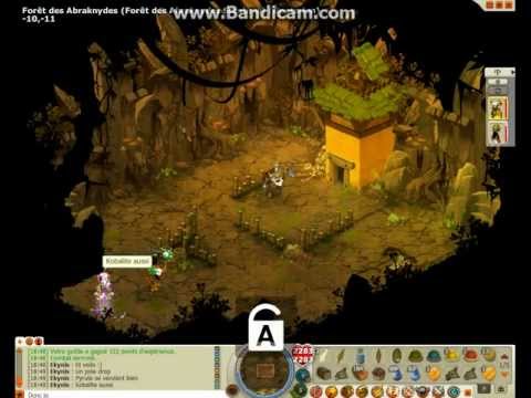 comment entrer dans la foret malefique dofus