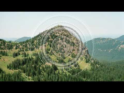 No More Sleep w/ Timo Chinala