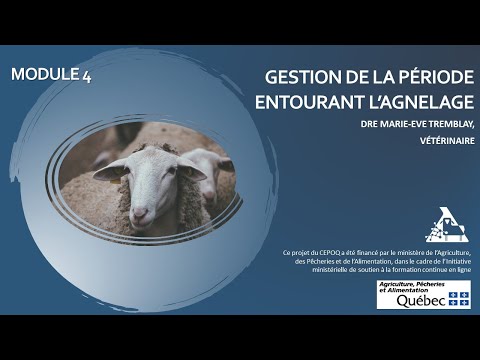 , title : 'Formation en santé ovine - Gestion de la période entourant l’agnelage'