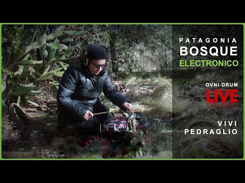 PATAGONIA 🌳 Bosque Electronico 🎛  OVNIDRUM | Vivi Pedraglio | LIVE #fieldrecording