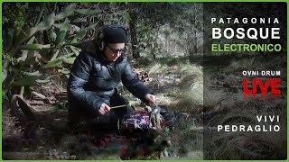 PATAGONIA 🌳 Bosque Electronico 🎛  OVNIDRUM | Vivi Pedraglio | LIVE #fieldrecording