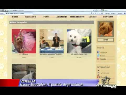 Servizio Tg Rete Versilia - BauCafè.it