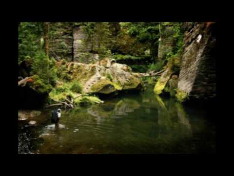 prkosna pesma-Dobrica Eric