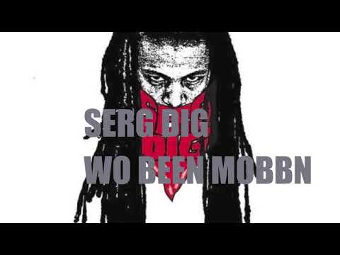 SERG DIG -- WO been mobbn