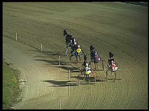 Trotto 27/06/2020 - 3ª prova di qualifica