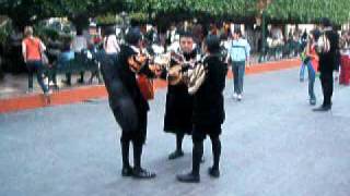 preview picture of video 'Guanajuato, Jardin de la Union -- brass band playing'