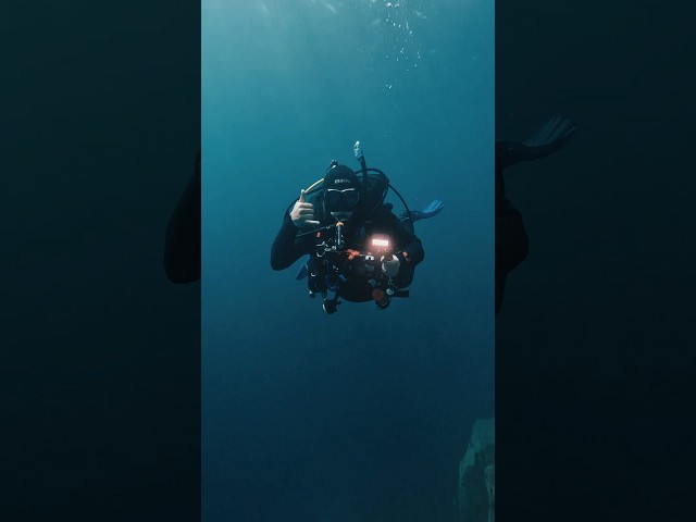 Vídeo relacionado con OM SYSTEM Cámara Tough TG-7, 12 MP, Resistente al Agua y a los Golpes, Modos de Disparo subacuático y Macro, vídeo 4K, Zoom Angular de 4X (sucesora de la Olympus TG-6), Rojo