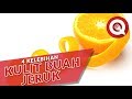4 Kelebihan Kulit Buah Jeruk