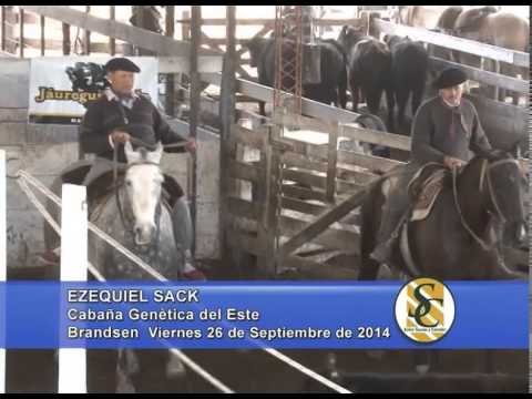 Genética del Este - Nota Ezequiel Sack - Brandsen - 26/09/2014
