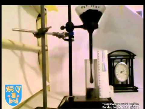 Pitch tar drop finally falls!