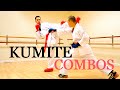 10 BEST KUMITE COMBOS