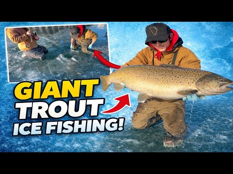 GIANT Trout Ice Fishing!!
