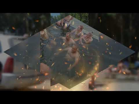 BAI SULFUROASE HARSOVA !