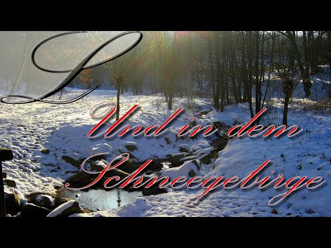 Und in dem Schneegebirge (9 Strophen)| Lorelina | Volkslied | Waldzither