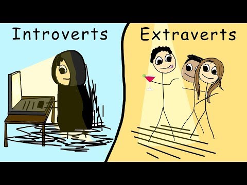 Casually Explained: Introverts and Extraverts