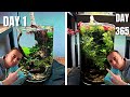 Best Plants For No Filter Aquarium