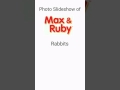 Photo Slideshow Of The Max And Ruby Rabbits