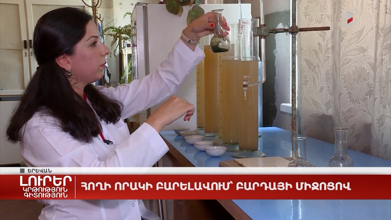 Հողի որակի բարելավում՝ բարդայի միջոցով