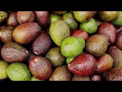 FINCA 2.7 HECTAREAS  San Martín de los Llanos, Meta! 🌿
