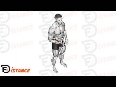 Handgrip - Exercice Handgrip en vidéo Handgrip - Exercice Handgrip en vidéo