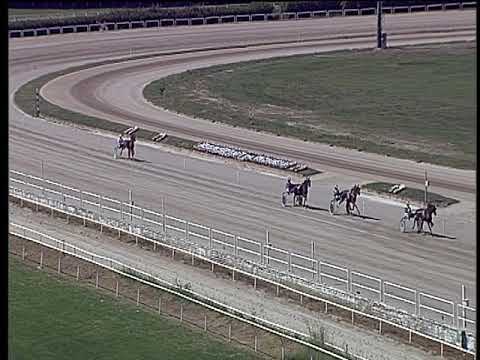 Trotto 13/09/2019 - 1ª prova di qualifica