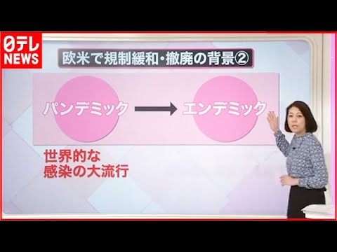 コロナウイルスのパンデミック: それに備える方法
