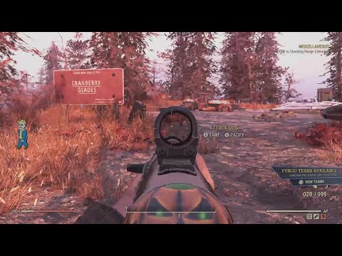 How To Get A Pet Dog in Your Camp! With No Special Camp Location.