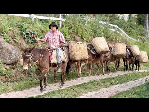 AT 76 YEARS OLD, MANOEL TROPEIRO CONTINUES TO WORK