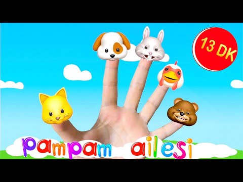 Kedi Parmak Miyav - Hayvan Sesleri - uzun