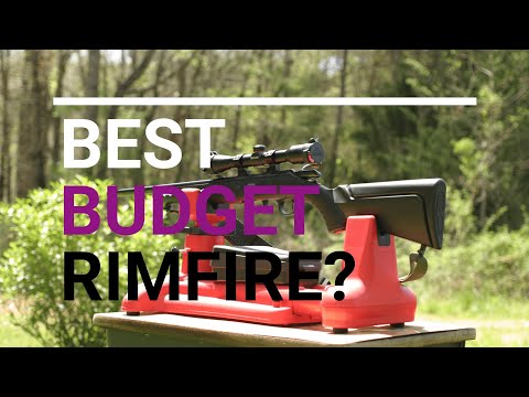 (Best Budget Rimfire) Ruger American Rimfire, CCI Standard, 50 Yards