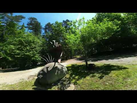 Waldbühne Halsbach🎭🎪🤹‍♀️