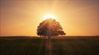 Le Manifeste Libertarien : 2 - Le Credo Libertarien - Rothbard [livre audio]