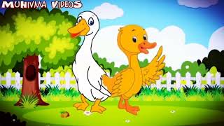 Download lagu Instrumen lagu potong bebek angsa mp3 Download lagu Instrumen lagu potong bebek angsa mp3