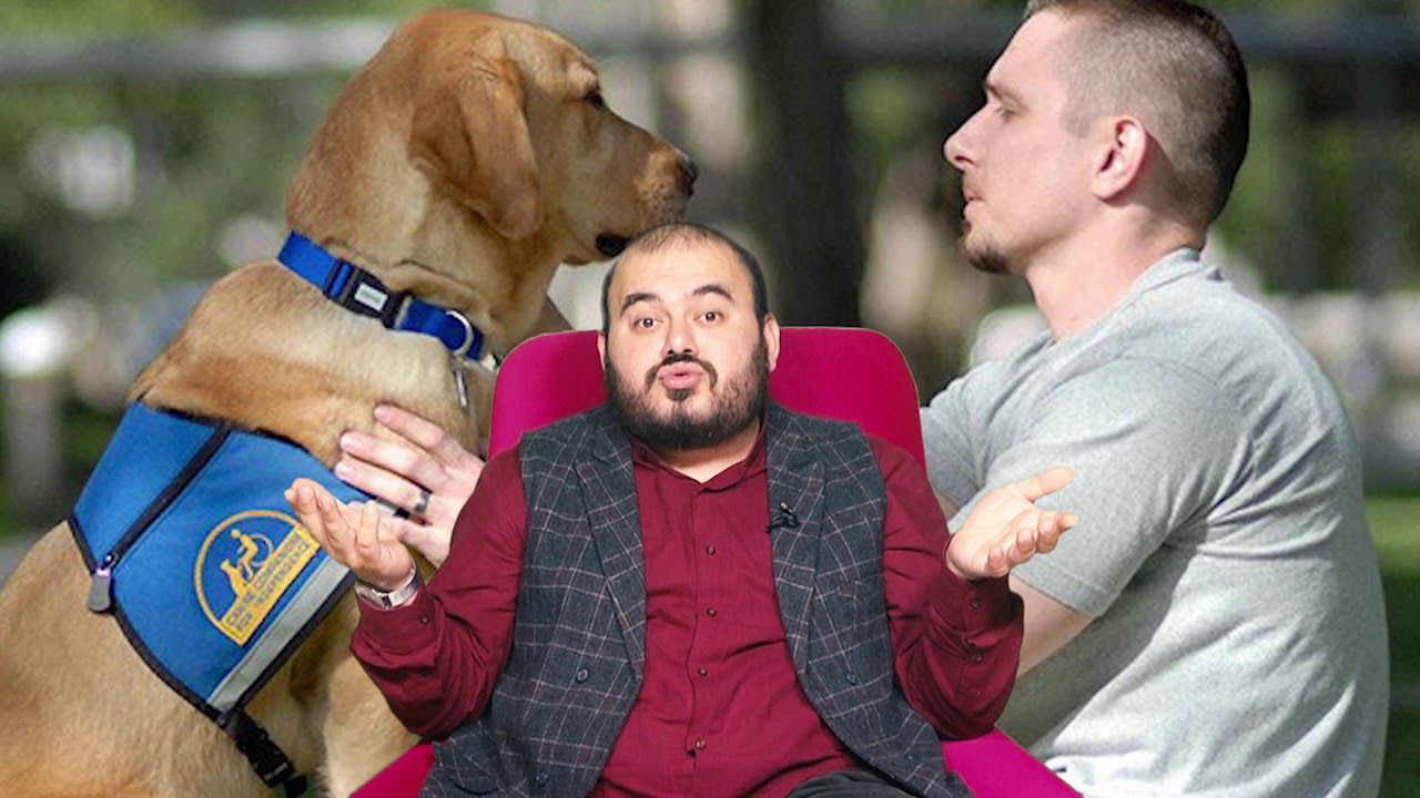 Rüyada Köpekle konuşmak görmek nedir Rüyada köpekle konuştuğunu görmek ne anlama gelir Hüseyin duru