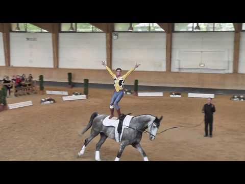 Pferd International 2018 - Voltigieren - Julian Wilfling