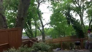 Downs Tree Service 615-586-3637