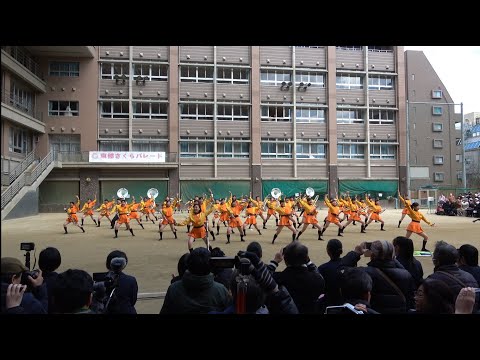 2019 0324 京都橘高等学校吹奏楽部 Kyoto Tachibana SHS Band 第18回京都さくらパレード
