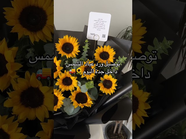 باقة شمس SOY – ورد عباد الشمس الفاخر