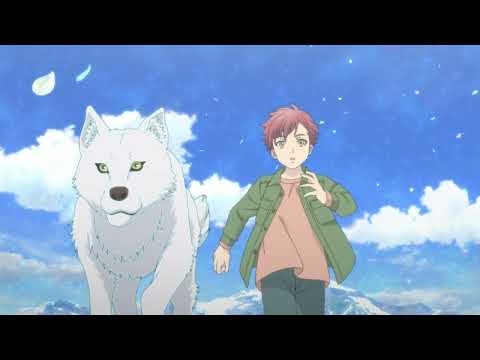 OP1 «SHINY» — Urashimasakatasen