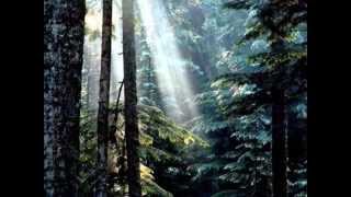 Chris Cornell Safe & Sound