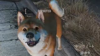 アニバーサリーエディションきたので【fallout4】